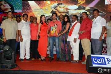 Ram Leela Movie Platinum Disc Function